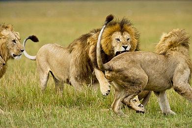 《新无主之地传说》现已进厂压盘 10月21日发售