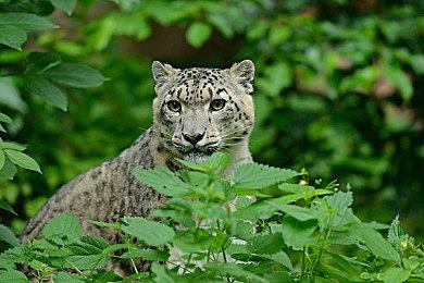 《潜行者2》新截图发布 多人模式发售后免费更新